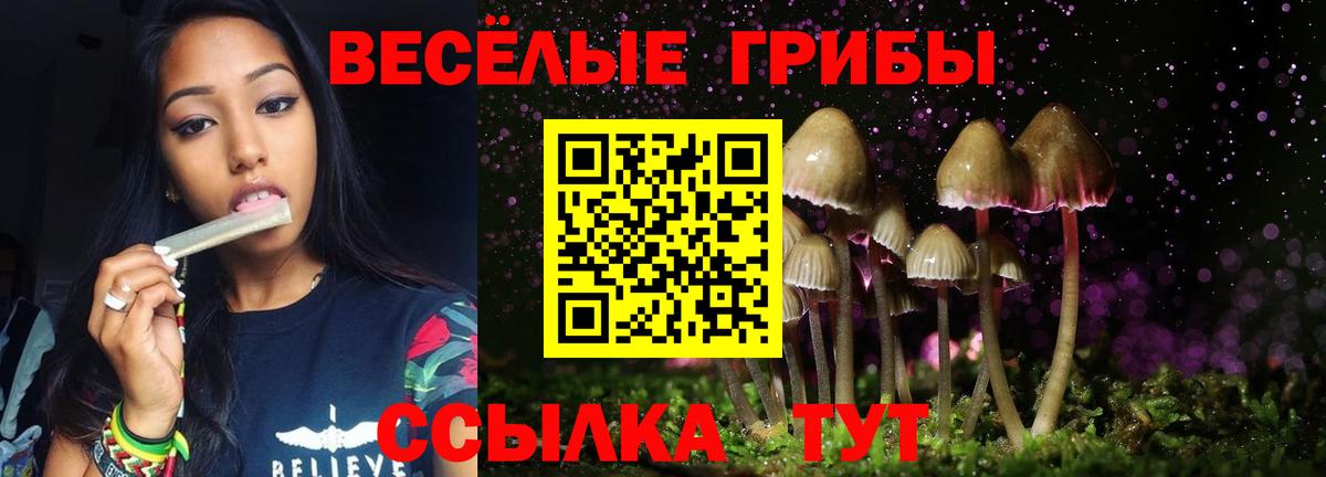 Псилоцибиновые грибы мухоморы  Вход с VPN  Ростов-на-Дону 